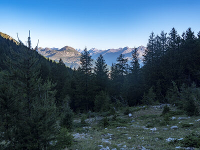 GR5_2307-2308, 0810_1096308