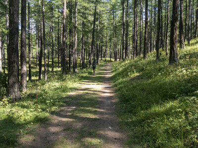 GR5_2307-2308, 0810_1096322