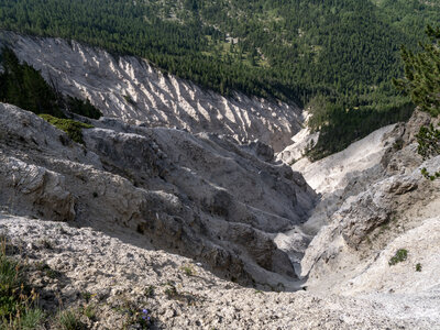GR5_2307-2308, 0811_1096332