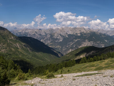 GR5_2307-2308, 0811_1096333