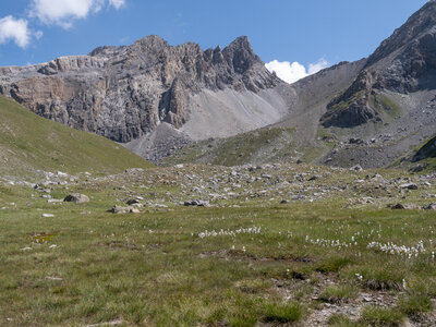 GR5_2307-2308, 0813_1096363