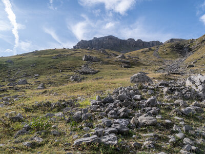 GR5_2307-2308, 0818_1096406