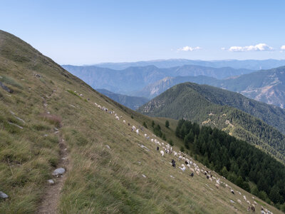GR5_2307-2308, 0820_1096429