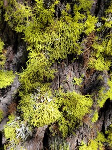GR5_2307-2308, 0808_160417