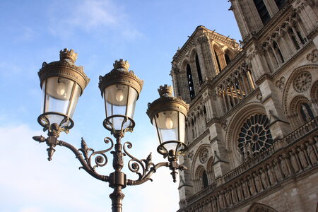 paris, notre dame 13