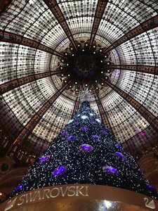 paris, sapin galerie la fayette  1 