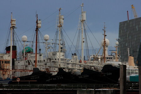 islande, IMG_5249