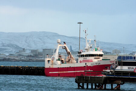 islande, IMG_5246