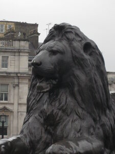 londres, IMG_3011