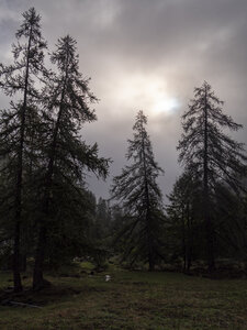 12-09-24_col des Tourettes, _1096519