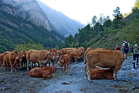 Lacs de Porcieroles et Lestio, Lac de Porcieroles 057