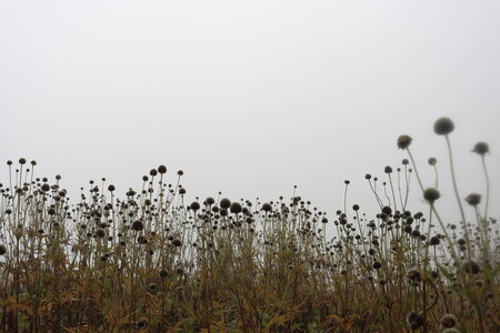 Col des Tourettes, Col des Tourettes 006