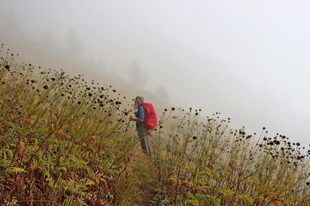 Col des Tourettes, Col des Tourettes 007