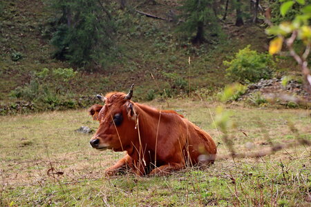 Col des Tourettes, Col des Tourettes 025