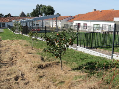 Jardin urbain septembre 2024, IMG_6674