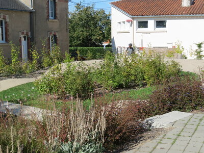Jardin urbain septembre 2024, IMG_6677