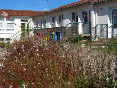 Jardin urbain septembre 2024, IMG_6678