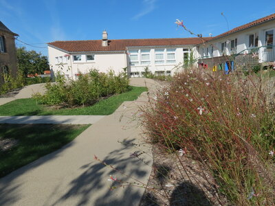 Jardin urbain septembre 2024, IMG_6679