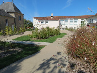 Jardin urbain septembre 2024, IMG_6680