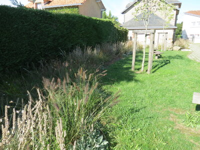 Jardin urbain septembre 2024, IMG_6681