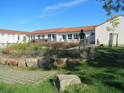 Jardin urbain septembre 2024, IMG_6683
