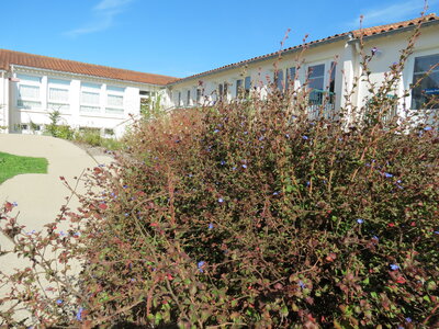 Jardin urbain septembre 2024, IMG_6685
