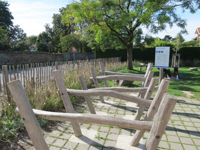 Jardin urbain septembre 2024, IMG_6687