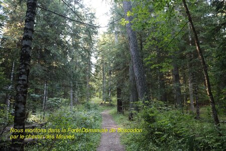 Pic de Charance (Boscodon), Pic de Charance  Boscodon  002