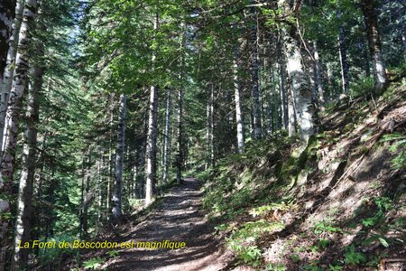 Pic de Charance (Boscodon), Pic de Charance  Boscodon  005