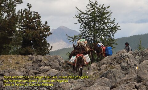 Pic de Charance (Boscodon), Pic de Charance  Boscodon  046