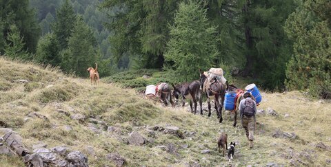 Pic de Charance (Boscodon), Pic de Charance  Boscodon  047