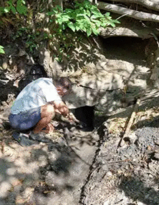 Les Puits, Source de l’ancienne vigne  Sournia 2