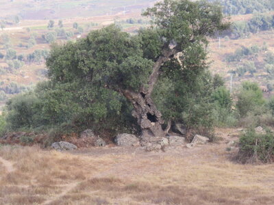 2024 Maroc, 02003 sur la route de Lahcen