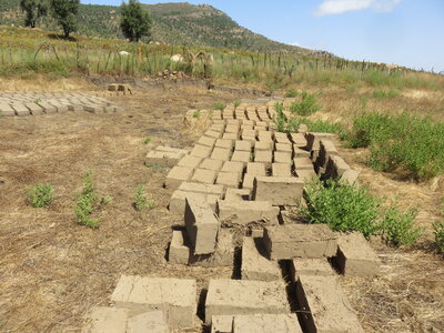 2024 Maroc, 05002 ferme de Mohammed Karmoun les briques d’adobe