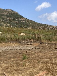 2024 Maroc, 05003 ferme de Mohammed Karmoun les briques d’adobe