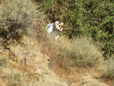 2024 Maroc, 05027 Lahcen