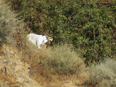 2024 Maroc, 05028 Lahcen