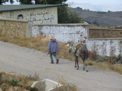 2024 Maroc, 05029 Lahcen