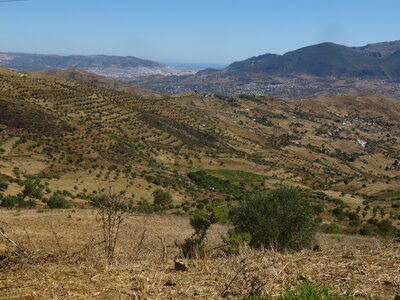 2024 Maroc, 05995 entre Lahcen et Tétouan