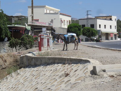 2024 Maroc, 06033 Tétouan