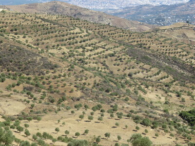 2024 Maroc, 07001 entre Tetouan et Chafchaouen