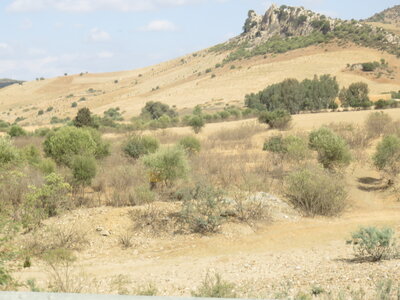 2024 Maroc, 08002 entre Chafchaouen et Fès