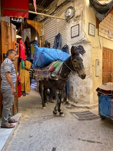 2024 Maroc, 09063 Fès