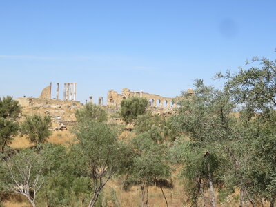 2024 Maroc, 10002 Volubilis