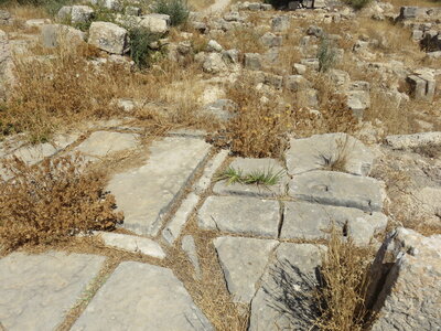 2024 Maroc, 10010 Volubilis