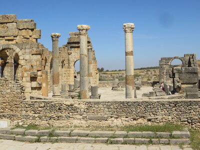 2024 Maroc, 10017 Volubilis