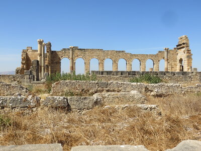 2024 Maroc, 10020 Volubilis Le Capitole