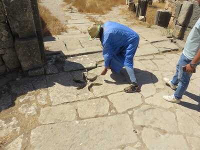 2024 Maroc, 10021 Volubilis