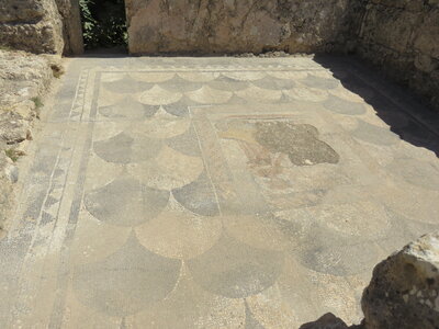 2024 Maroc, 10041 Volubilis