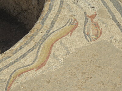 2024 Maroc, 10043 Volubilis